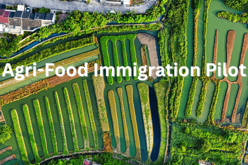 Agri-Food Immigration Pilot