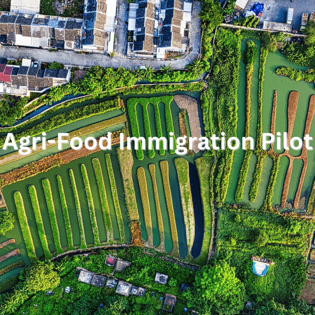 Agri-Food Immigration Pilot